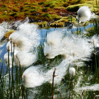 Trägerschaft und Finanzierung