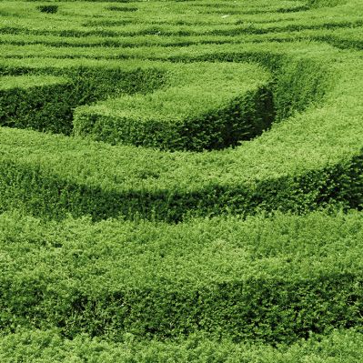 Startseite Startseite